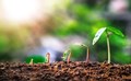 Government Planning Guidelines to Regulate Rs 1,500 Crore Biostimulants’ Market
