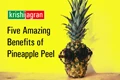Here are Five Magical Effects of Pineapple Peel on Your Body