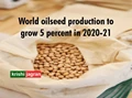 USDA Projects Rise in World Oilseed Production, Expects Higher Consumption, Reduces Ending Stock Estimates