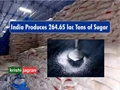 Sugar Production in India Falls Nearly 19 percent till 15th May