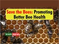 World Bee Day 2020: How Beekeepers Can Ensure Longer & Healthier Lives of their Bees