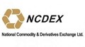 NCDEX to launch Futures Contract on AGRIDEX