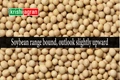 Soybean Turns Range Bound in US and Indian Markets