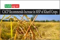 Good News! Govt to Increase MSP of Kharif Crops; Paddy, Corn & Millet to Give Profits