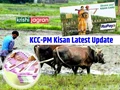 Kisan Credit Card Latest: How PM-Kisan Beneficiaries Can Easily Get Loans Through KCC; Details Inside