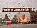 Locust Attack: UP CM Yogi Adityanath Sets Up Disaster Relief Team, 14 Districts on Alert