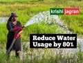 Water Consumption: Profitable Farming Methods to Reduce Water Usage by 80% & Increase Crop Production