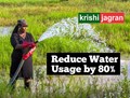 Water Consumption: Profitable Farming Methods to Reduce Water Usage by 80% & Increase Crop Production