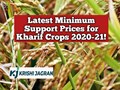 Revised MSP for Kharif Crops for Marketing Season 2020-21; Farmers to Get 50-83% more than Cost