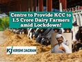 Atma Nirbhar Bharat Package for Farmers: Center to Provide Kisan Credit Cards to 1.5 Crore Dairy Farmers