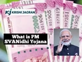 PM SVANidhi Yojana to Offer Cheap Loans to Street Vendors; Know Features, Benefits and How to Apply for It