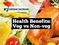 Vegetarian Vs Non-Vegetarian Diet : Which One Is Better?