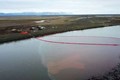 Russian Oil Spill to Affect Sea Life in Arctic