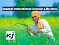 Do Farming without Tractors, Pesticides or Other Chemicals & Make ‘Banjar’ Lands Fertile; Complete Guide Inside