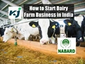 Want to Start Dairy Farm Business? Get Loan Up to 7 Lakh with 33% Subsidy from NABARD