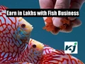 Earn 2 lakhs Per Month in Fish Culture Business by Working Only 2 hours