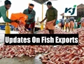 Fishermen Stuck between New Fishing Season & Government Ban on Export