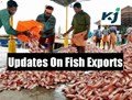 Fishermen Stuck between New Fishing Season & Government Ban on Export