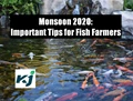 #Monsoon 2020: Important Pond Management Tips for Fish Farmers