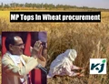 Madhya Pradesh Tops Wheat procurement for Rabi Season 2020-21