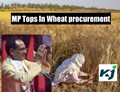Madhya Pradesh Tops Wheat procurement for Rabi Season 2020-21