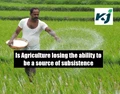 Farming Loses the Ability to be a Source of Subsistence for Majority of Farmers in India