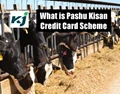 Good News for Farmers! Get Loan Without Interest through Pashu Kisan Credit Card; Know How?
