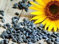 There are Countless Benefits Hidden in Sunflower Seeds; Know its Specialty