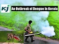 Monsoon 2020: Kerala Can Face a Very Big Problem Due to Rise in Dengue Cases; Experts Worry