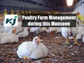 Monsoon 2020: Know How Poultry Farmers Can Take Care of Their Farm in Rainy Season