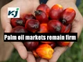 Palm Oil Prices See Smart Gains, Demand Remains Robust