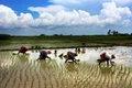 Current Scenario and Future Implications of Monsoon on Agriculture