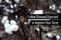 Cotton Markets Stabilizing- Improving Demand Outlook to Keep Prices Firm