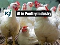 Artificial Intelligence in Poultry farming - Another Innovation in Agriculture