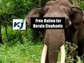 State Government of Kerala to Provide Free Food Kits to Captive Elephants