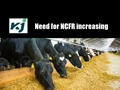 Balancing inadequate feedstuff supply through Non-Conventional Feed Resources (NCFR)