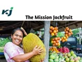 Mission Jackfruit: Meghalaya Government to Boost Entrepreneurship through Jackfruit Production