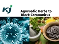 Scientific Study Found that These Ayurvedic Herbs Blocks Coronavirus from Affecting a Person’s Body; Results Shared with WHO
