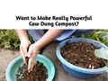 Make Really Powerful Compost from Cowdung Cakes at Home; Your Easy Guide Here