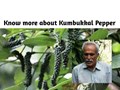 Kumbukkal Pepper: An Improved Disease Resistance Variety of Pepper
