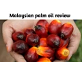 Palm Oil Currently Trades Lower but Near Term Gains Likely in Coming Weeks
