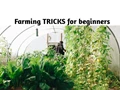 Excellent Tips for First-Time Farmers! From Increasing Crop Yield to Protect Crops from Diseases