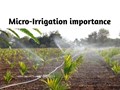 Micro Irrigation: A Solution to India’s Water Crisis