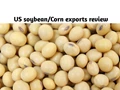 Soybean Exports from USA Increases; Corn Exports Significantly Down