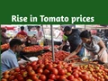 Tomato Rs 50 KG in Delhi and Mumbai due to fall in supply