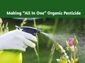 Know how to make “All in One” Organic Pesticide at Home