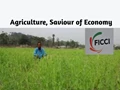 Agriculture Could be Saviour of the Economy, Estimated to Increase by 2.7 percent