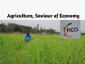 Agriculture Could be Saviour of the Economy, Estimated to Increase by 2.7 percent
