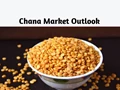 Domestic Chana Market Overview – Positive Trend likely in Short-term but Upside may Remain Limited in Longer Run