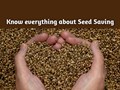 Heard of seed saving? Here are some tips to save seeds for a sustainable life